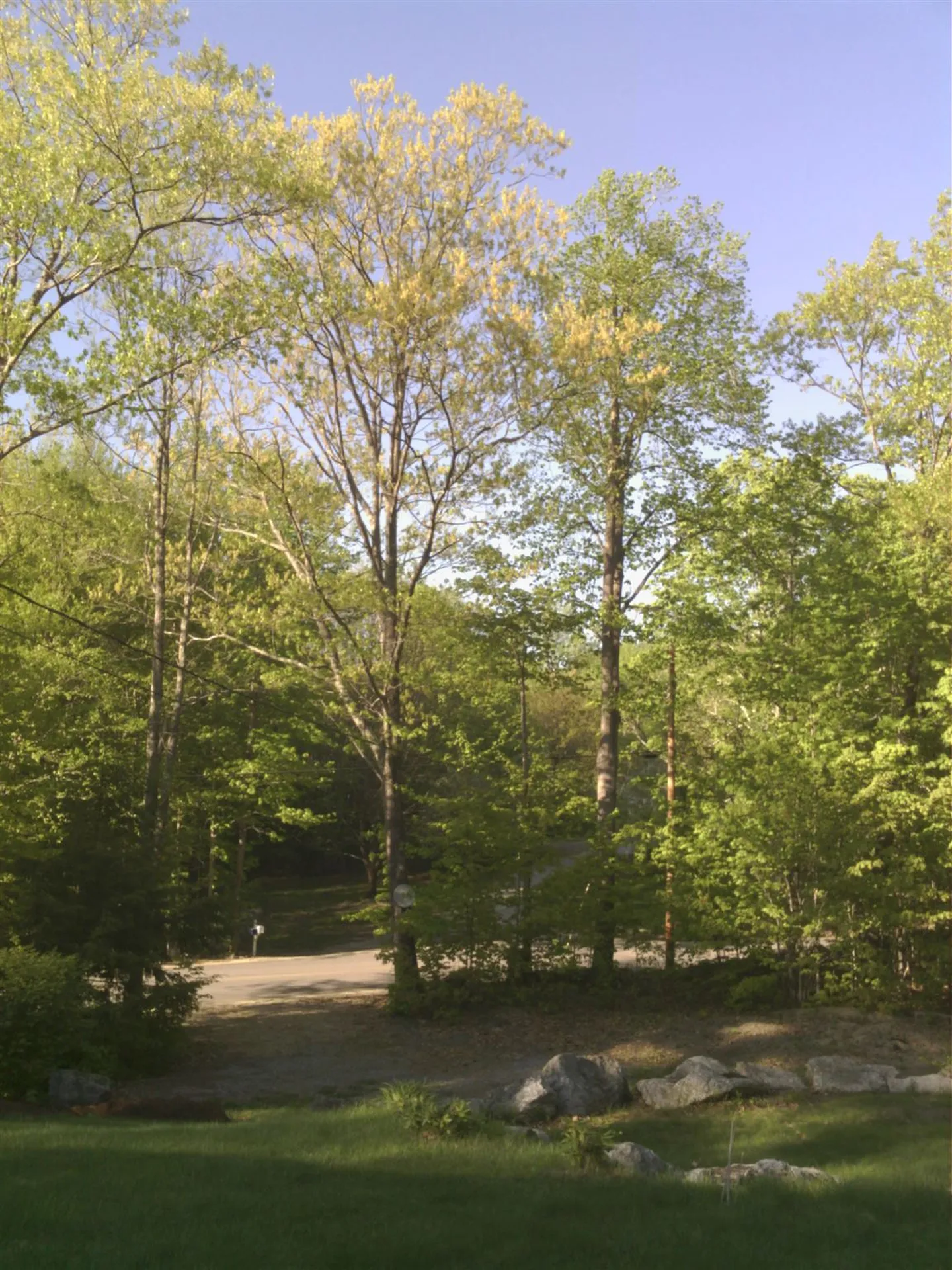 121 Twist Hill Road Dunbarton NH 03046