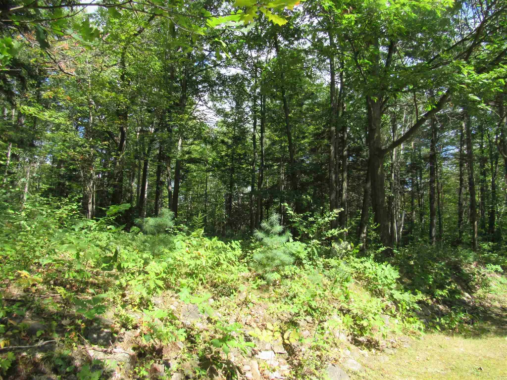 88 Lancaster Road Gorham NH 03581