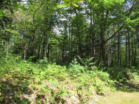 88 Lancaster Road Gorham NH 03581