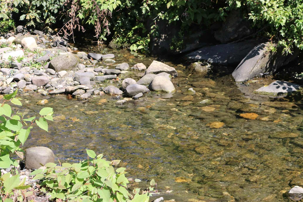 35 Wayside Road Pomfret VT 05091