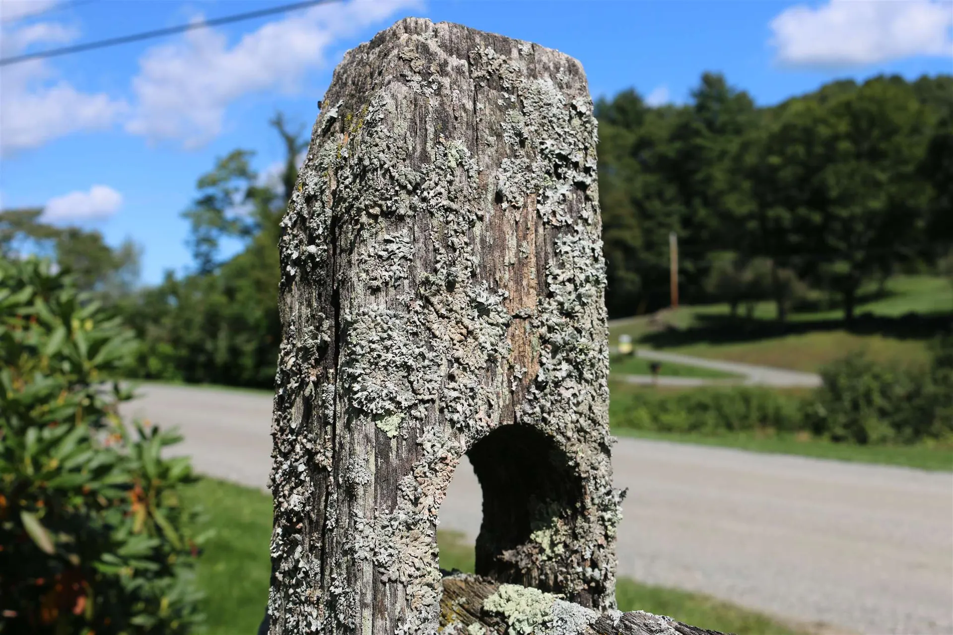 35 Wayside Road Pomfret VT 05091