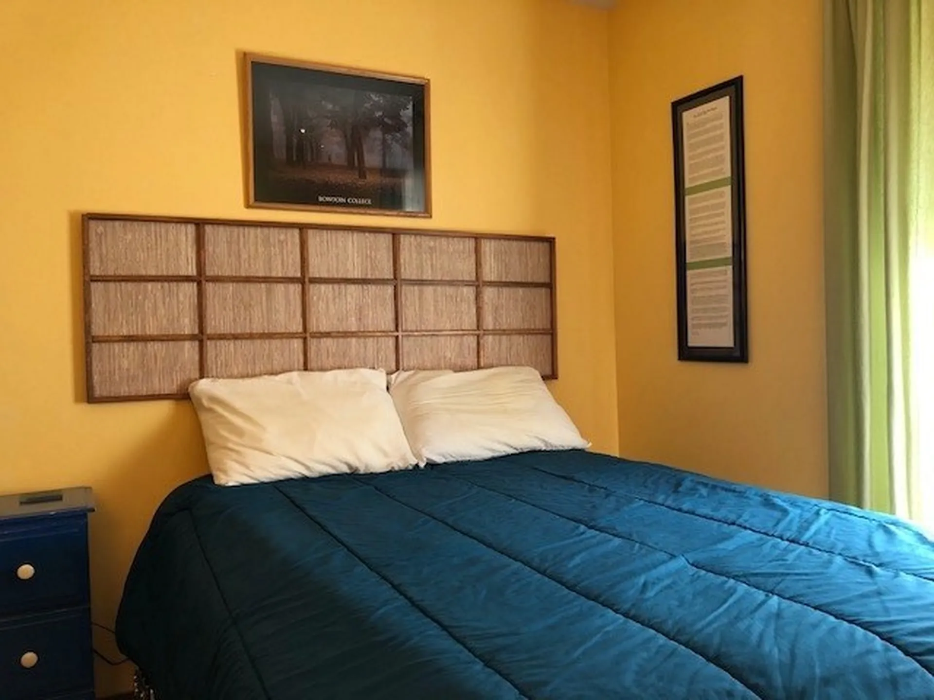 24 North Lynx Street Warren VT 05674