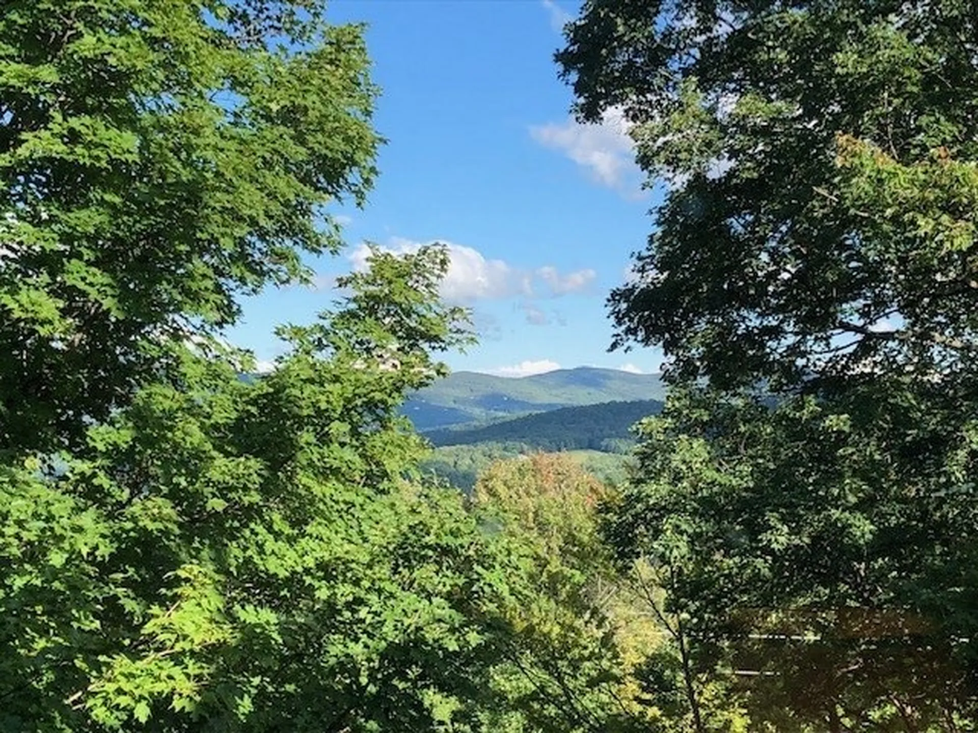 24 North Lynx Street Warren VT 05674