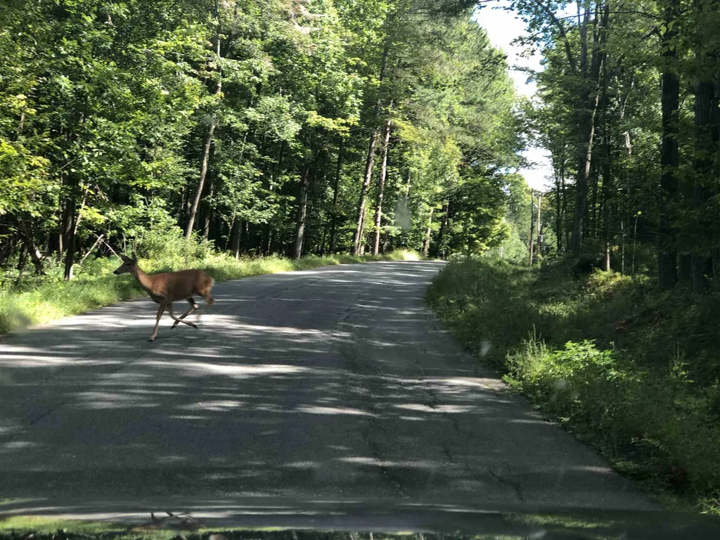 143 Camp Elizabeth Way Newport City VT 05855