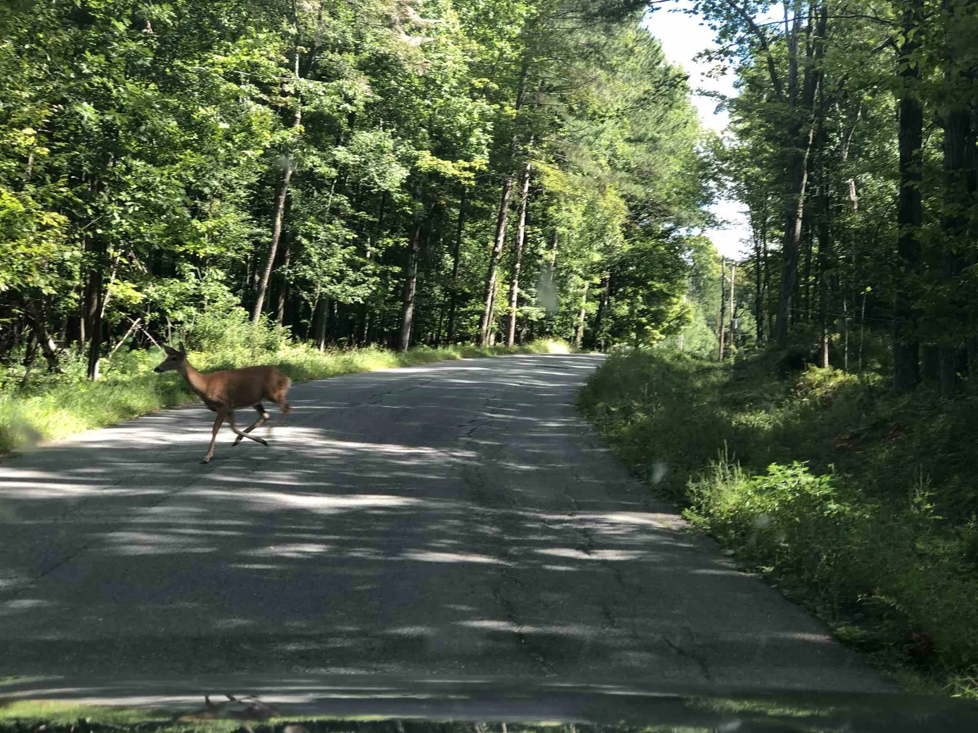 143 Camp Elizabeth Way Newport City VT 05855