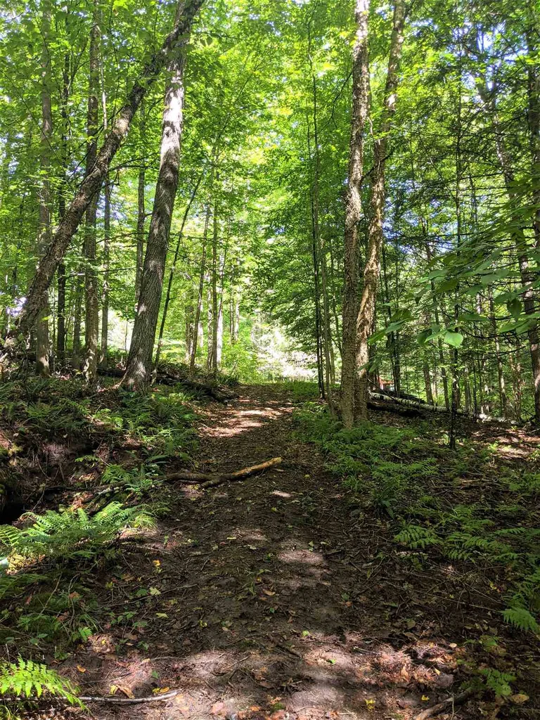 726 Clifford Farm Road Sharon VT 05065