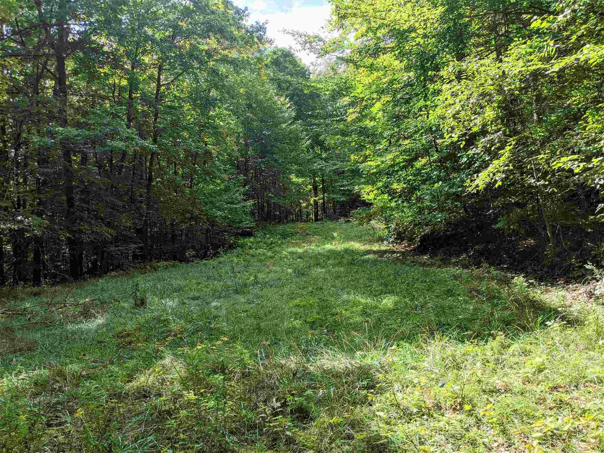 726 Clifford Farm Road Sharon VT 05065