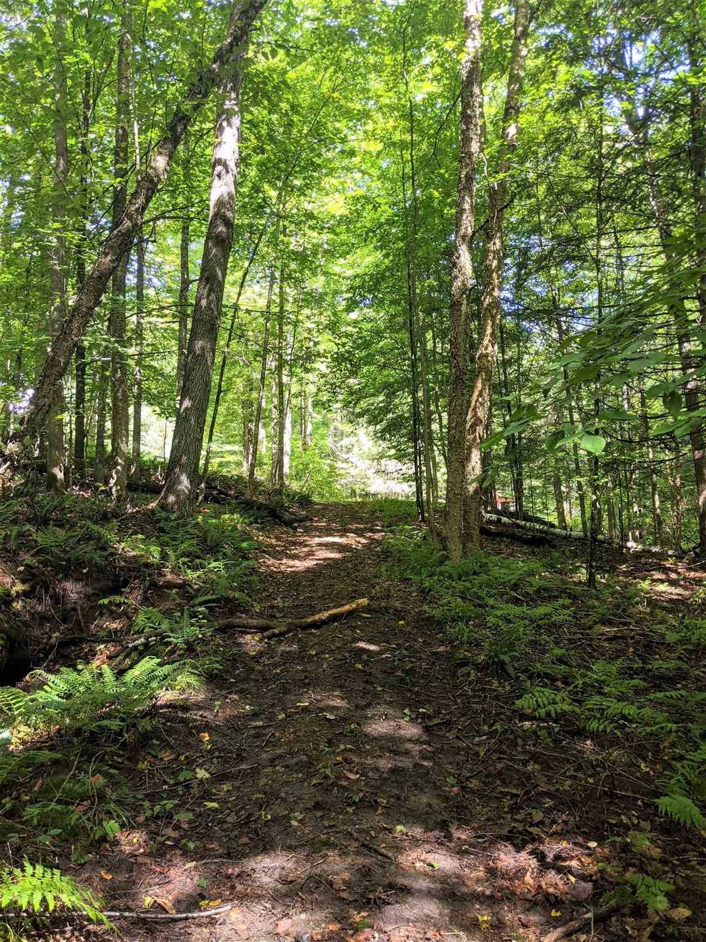 726 Clifford Farm Road Sharon VT 05065