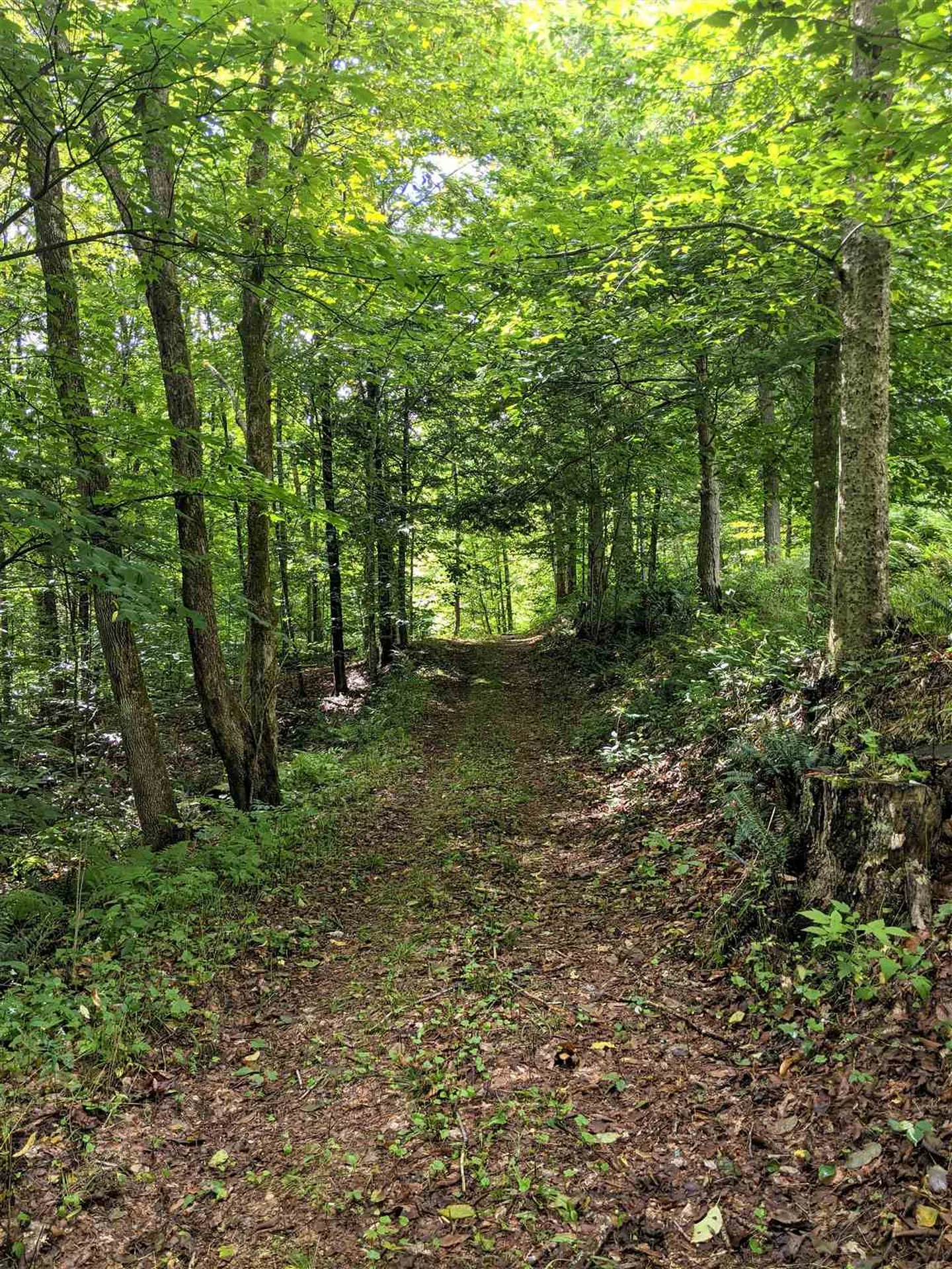 726 Clifford Farm Road Sharon VT 05065
