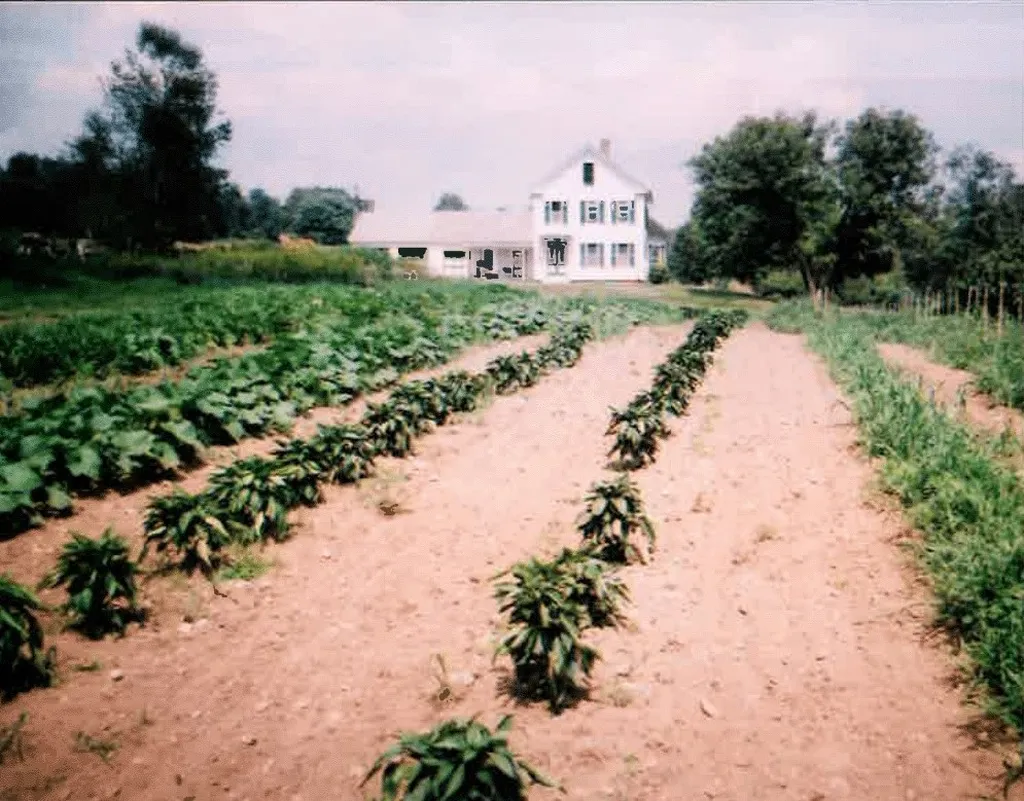 148 Clark Road Winchester NH 03470