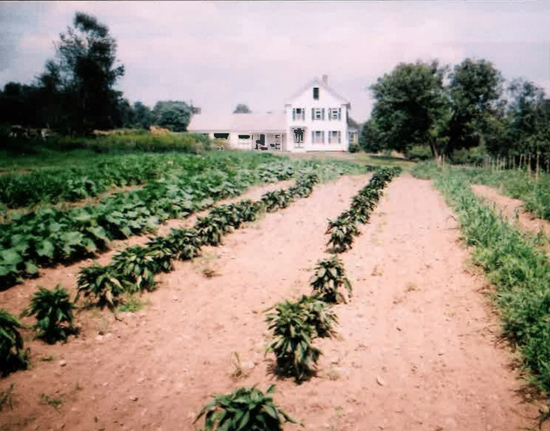 148 Clark Road Winchester NH 03470