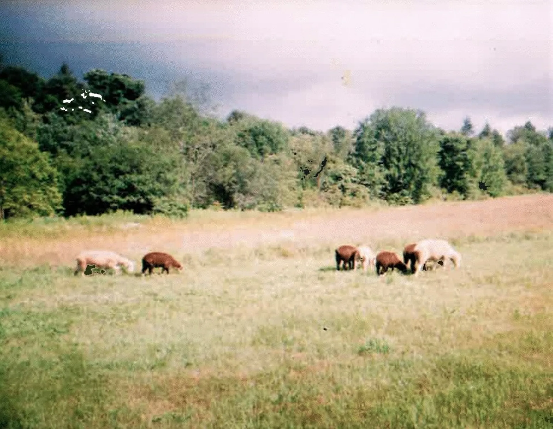 148 Clark Road Winchester NH 03470