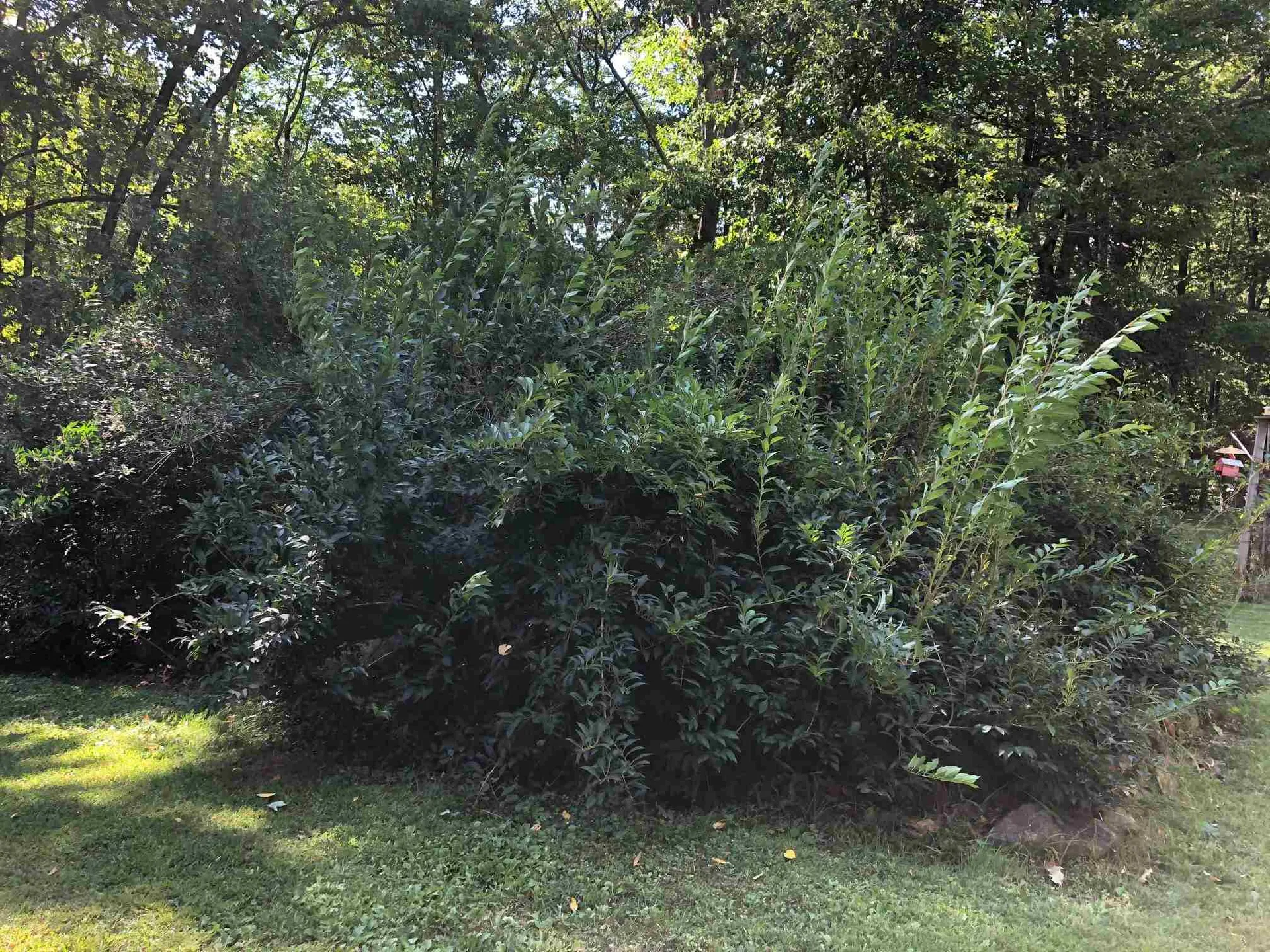39 Oakwood Road Farmington NH 03835