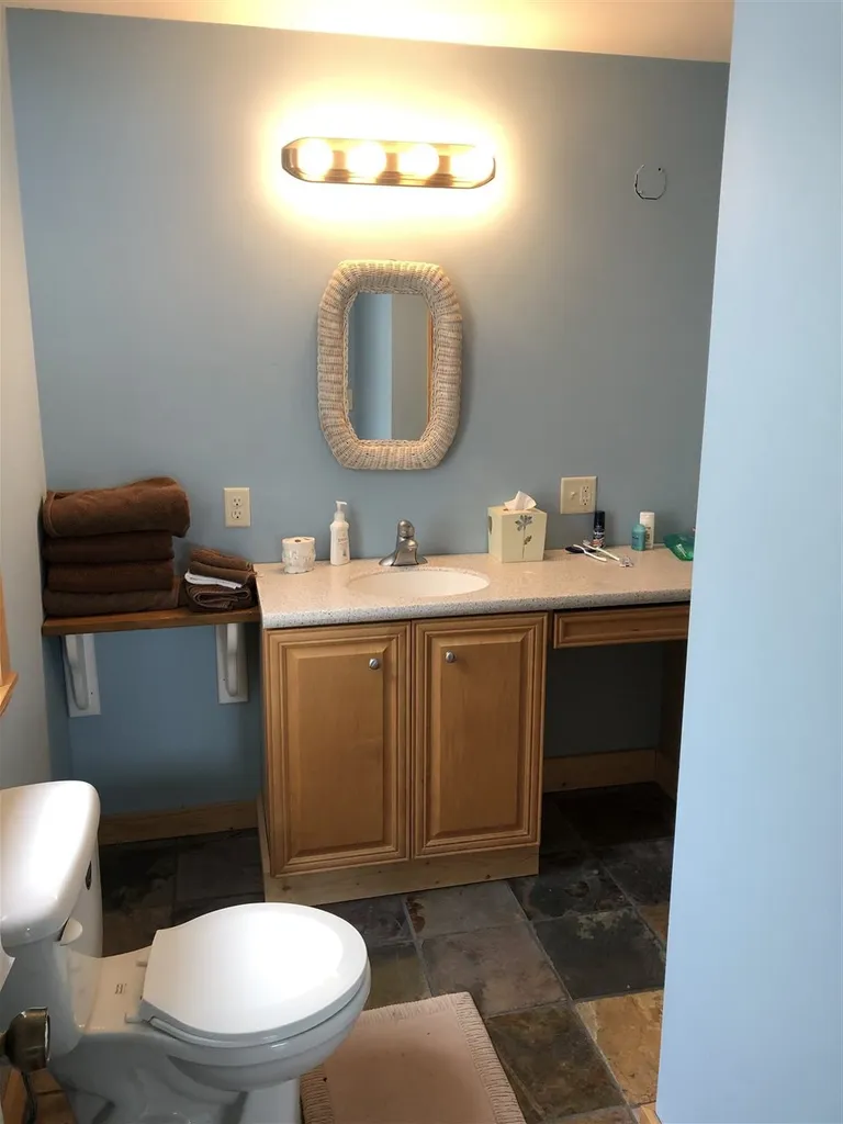 1667 Shadow Lake Road Glover VT 05839
