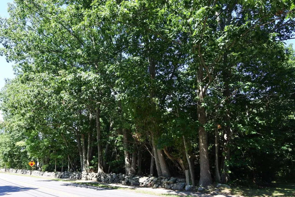0 Cable Road Rye NH 03870