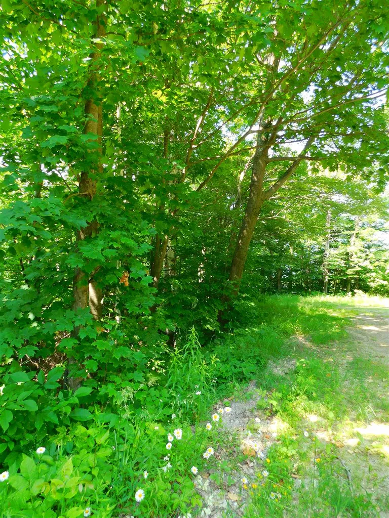L40 Boardman Loop Wardsboro VT 05355