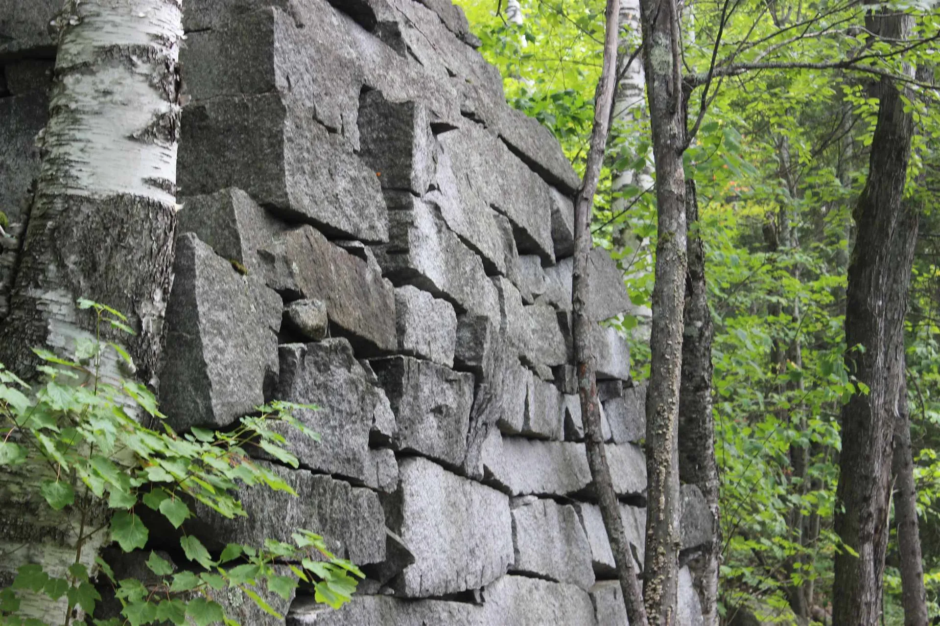221 Perkins Lane Ryegate VT 05046
