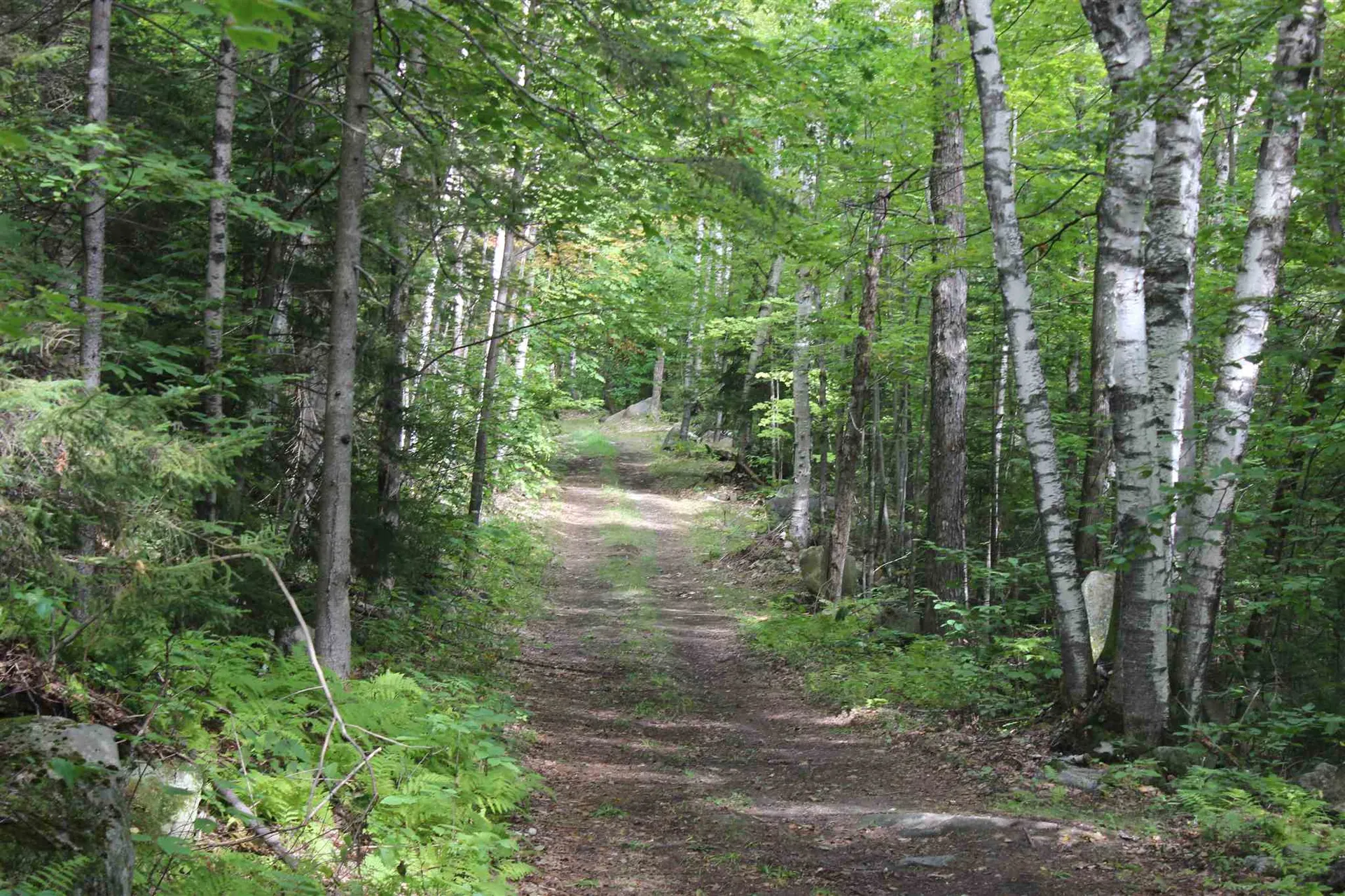 221 Perkins Lane Ryegate VT 05046