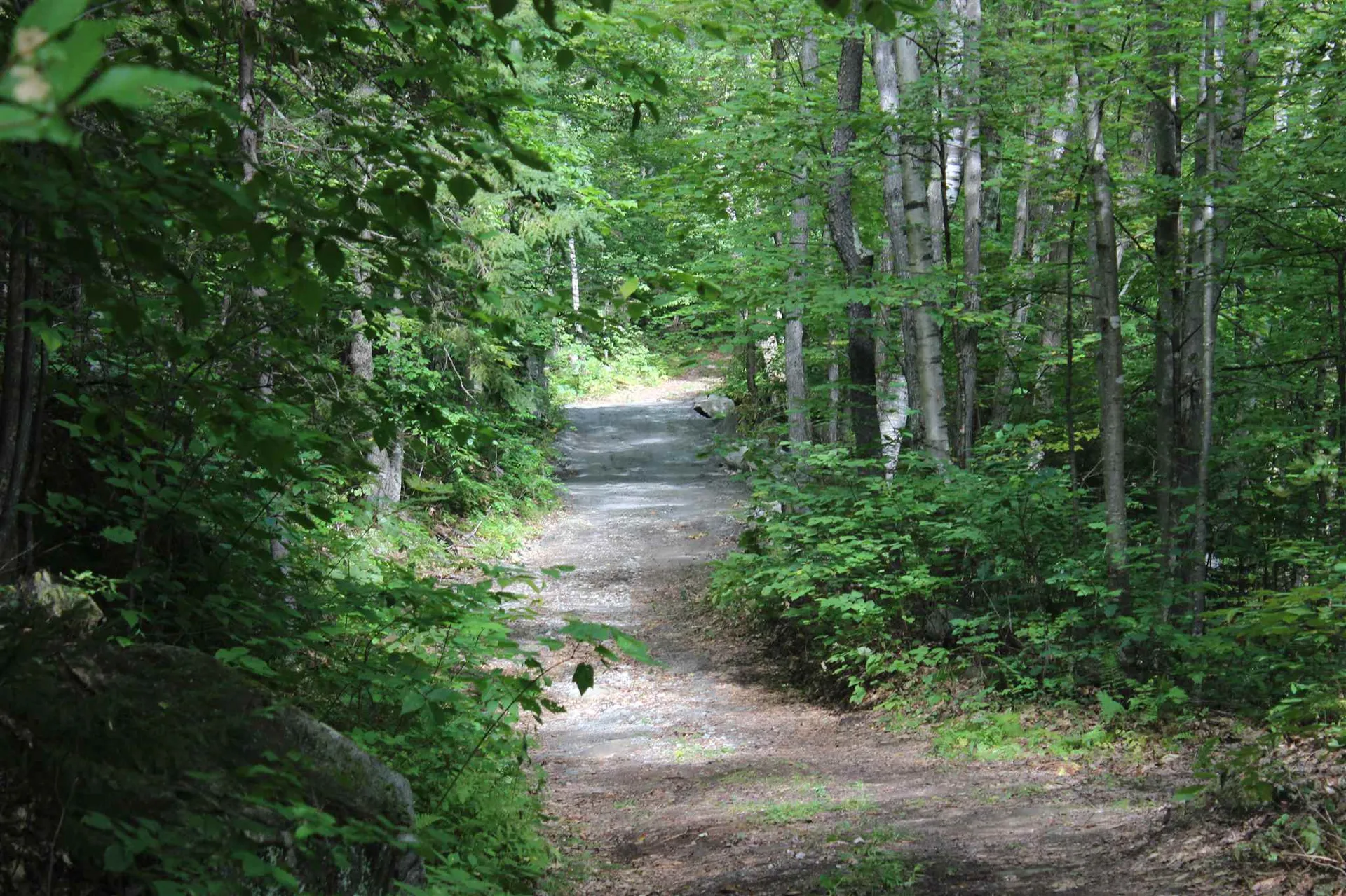 221 Perkins Lane Ryegate VT 05046