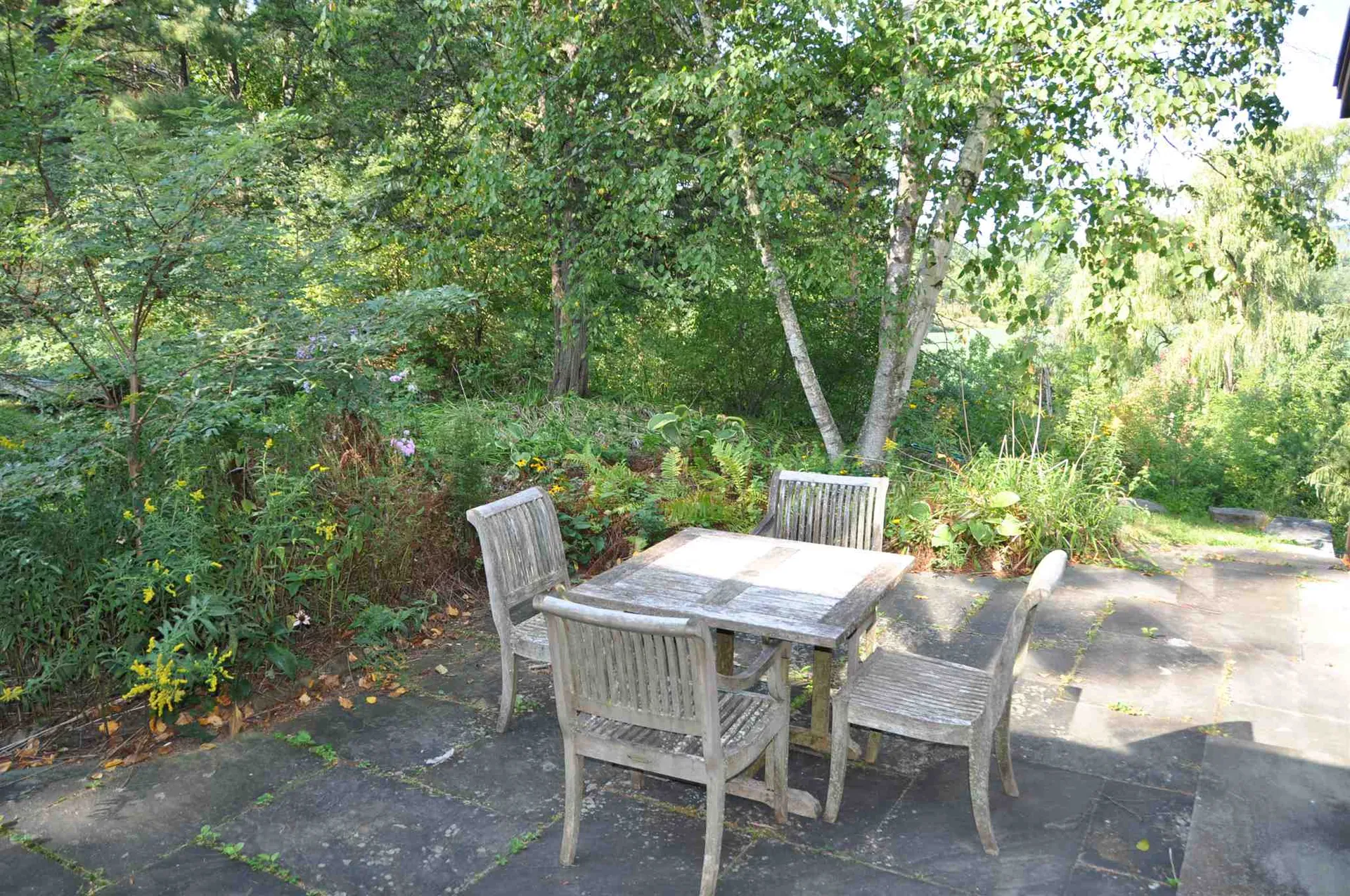 107 Butternut Ridge Drive Middlebury VT 05753
