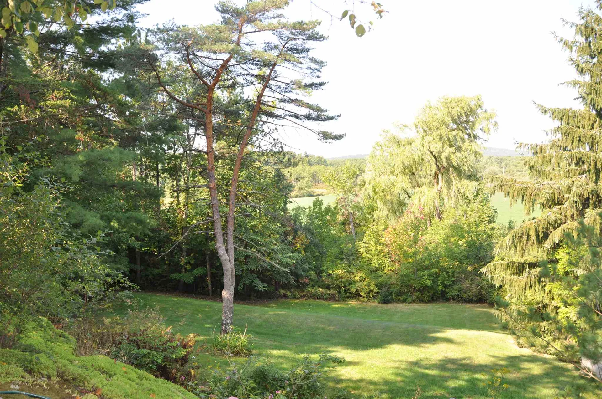 107 Butternut Ridge Drive Middlebury VT 05753