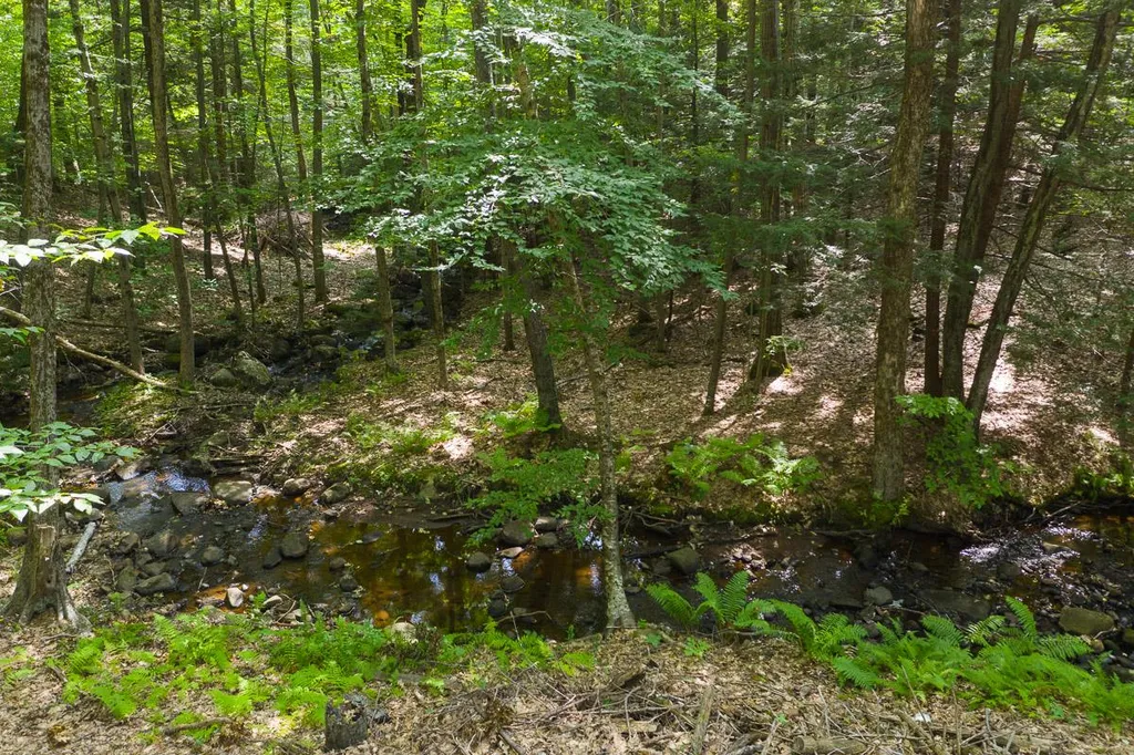439 Upper Jaffrey Road Dublin NH 03444