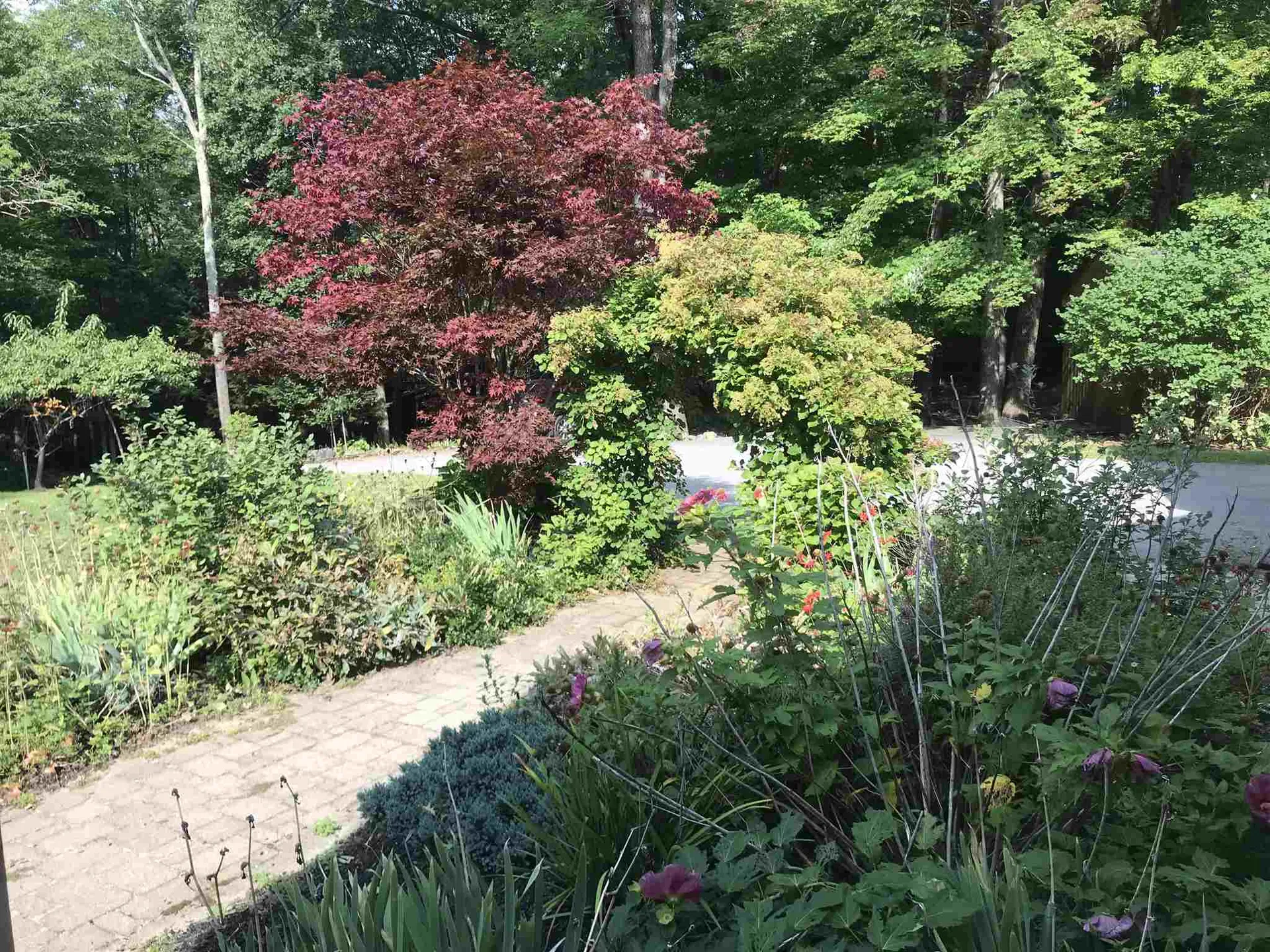 439 Upper Jaffrey Road Dublin NH 03444