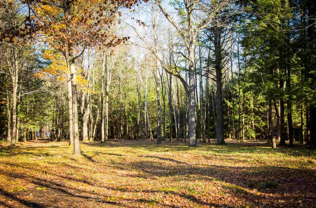 5 Lacasse Lane Williston VT 05495