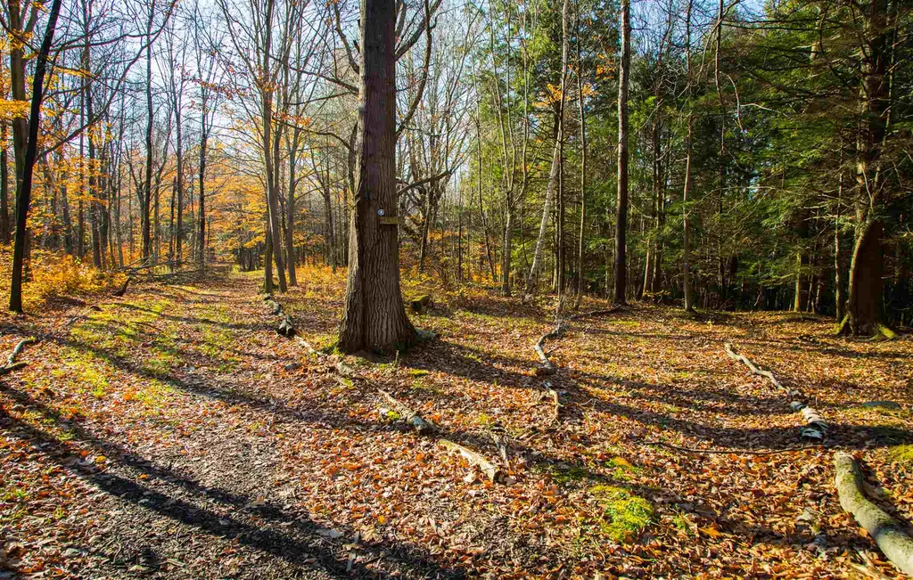 5 Lacasse Lane Williston VT 05495