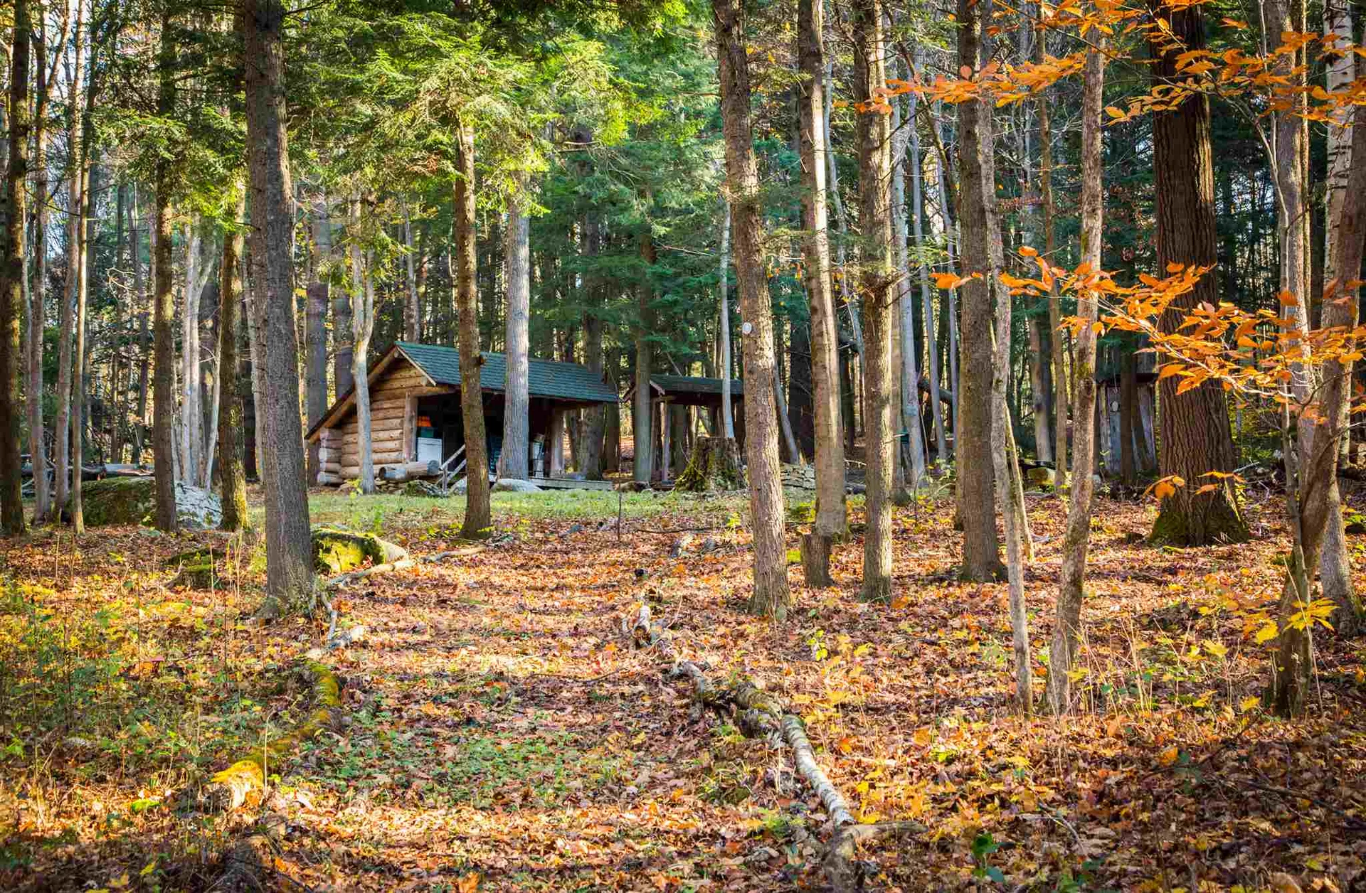 5 Lacasse Lane Williston VT 05495