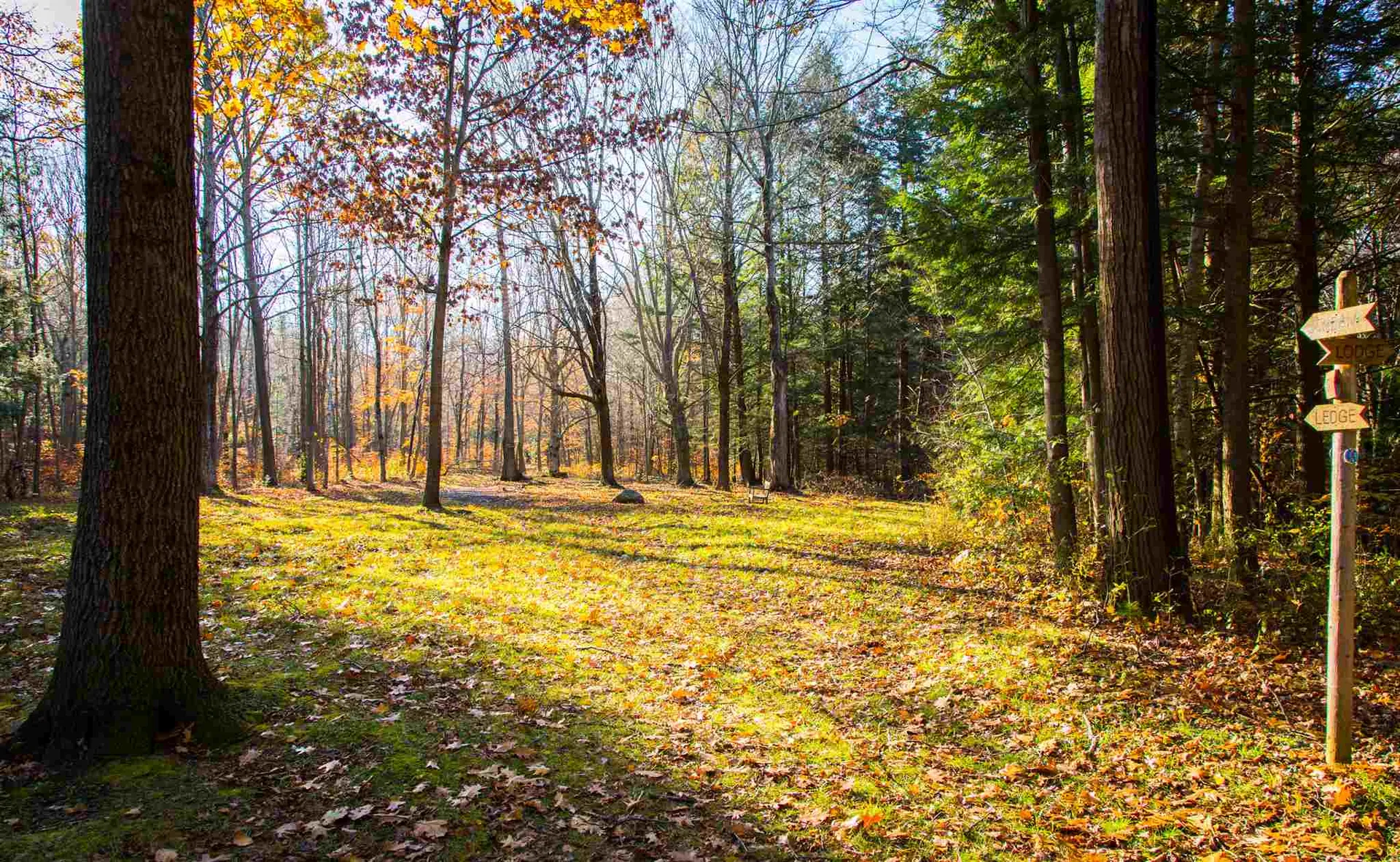 5 Lacasse Lane Williston VT 05495