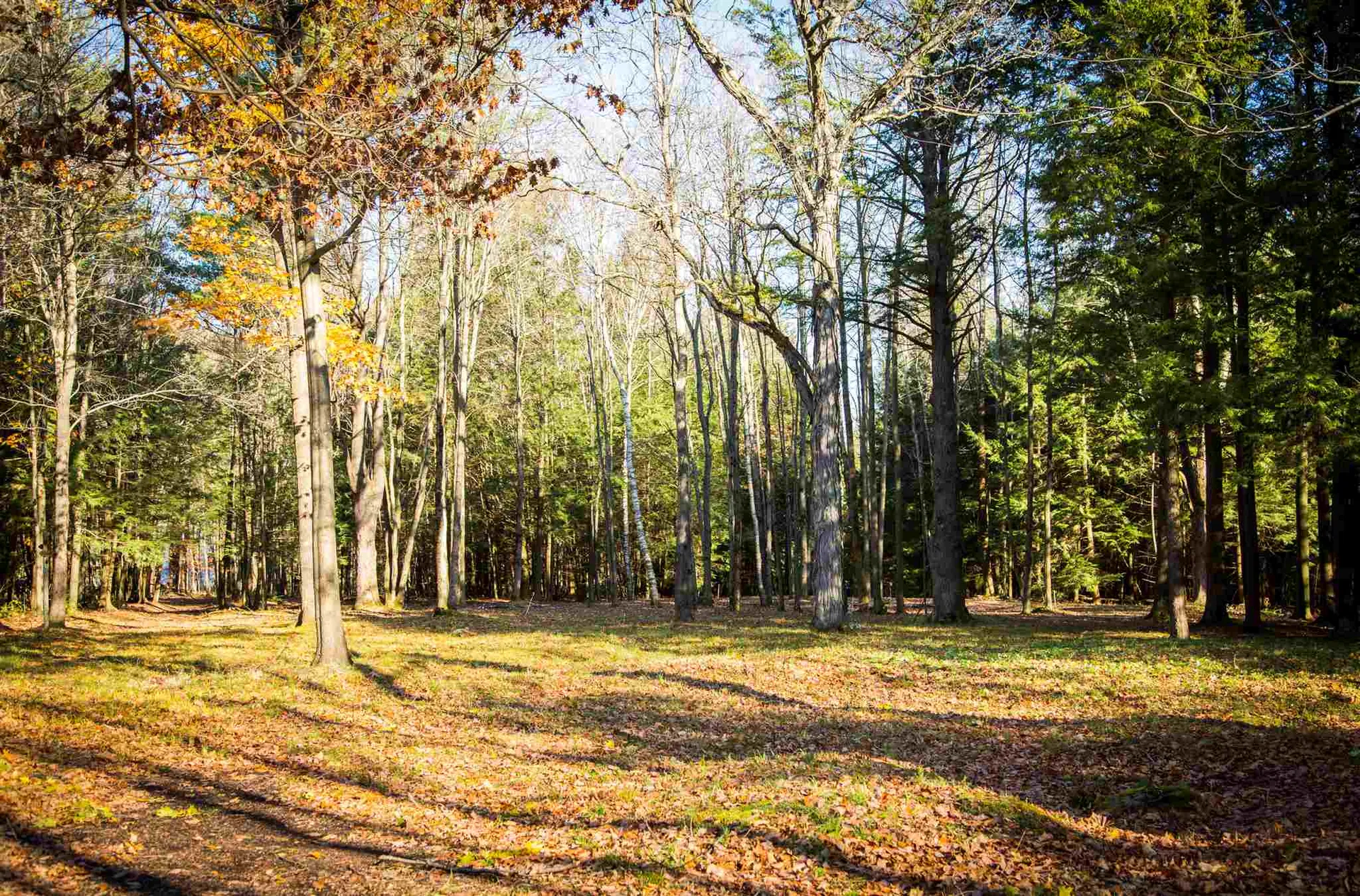 5 Lacasse Lane Williston VT 05495
