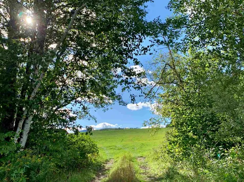 2486 Peak Road Wheelock VT 05851