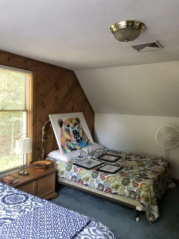 19 Low Land Loop Road Wilmington VT 05363