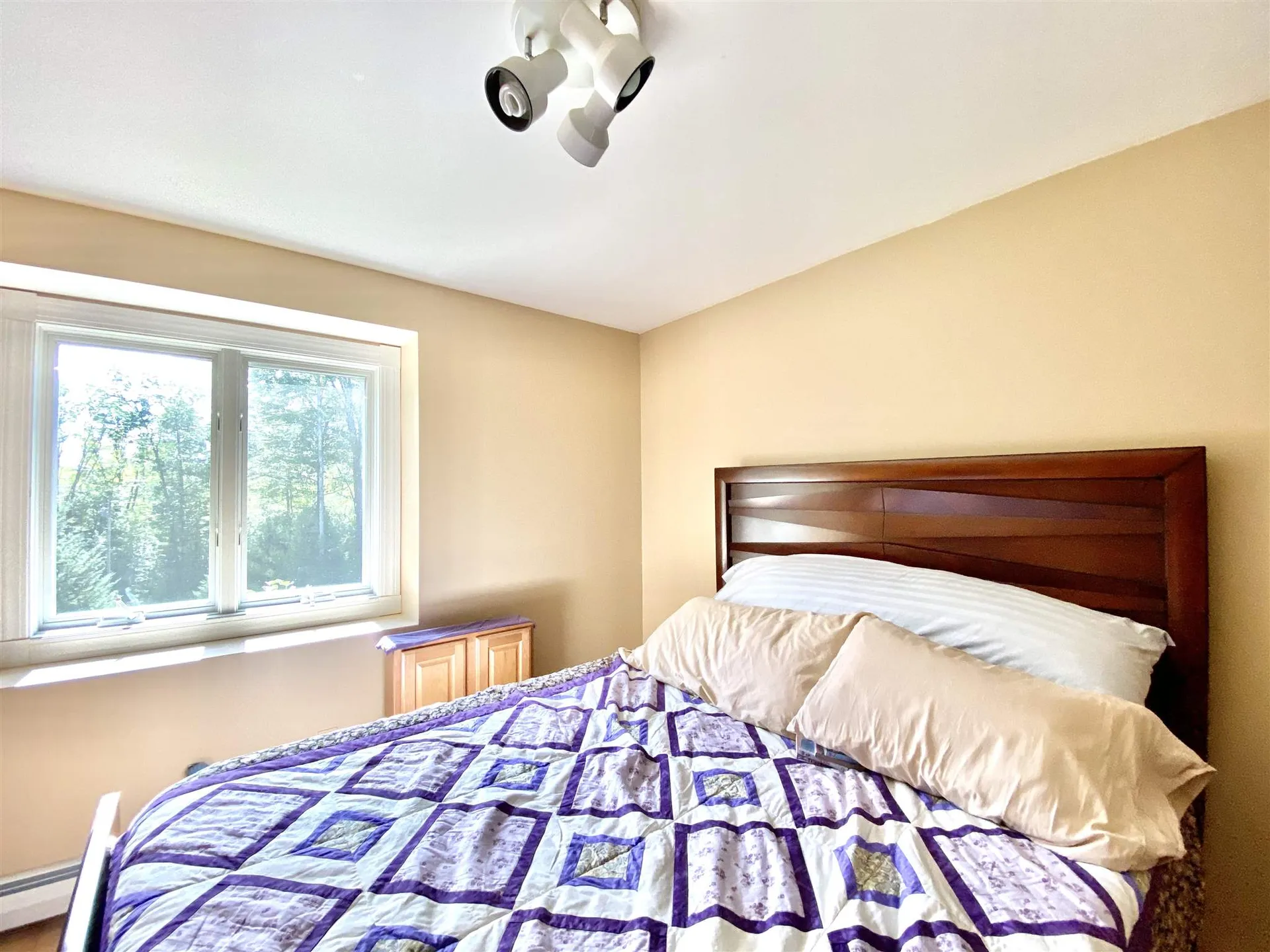 65 Harriet Drive Bristol NH 03222