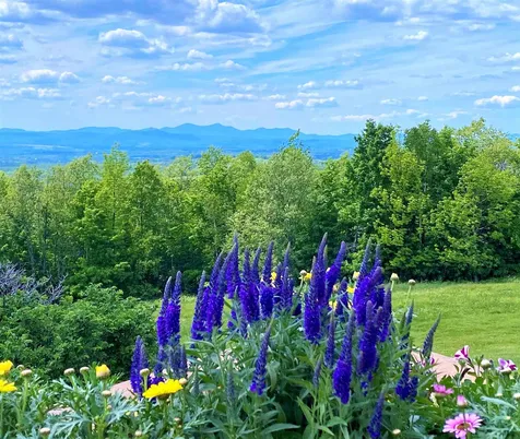 640 Whetstone Lane Brownington VT 05860