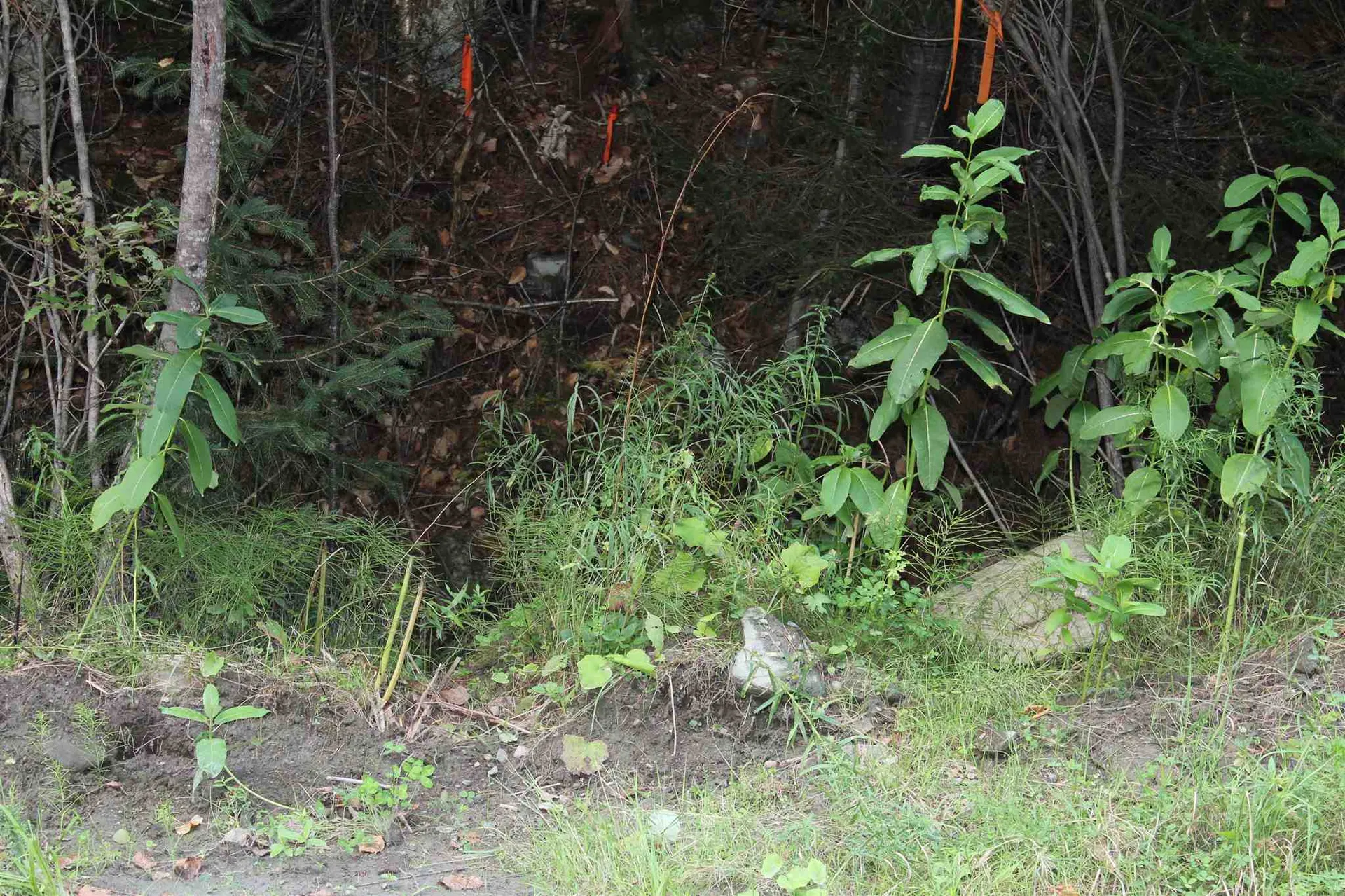 00 Leclair Road Concord VT 05824