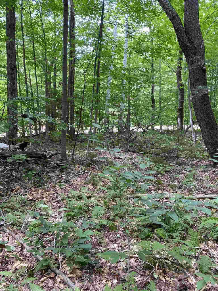 0 Country Lane Wardsboro VT 05355