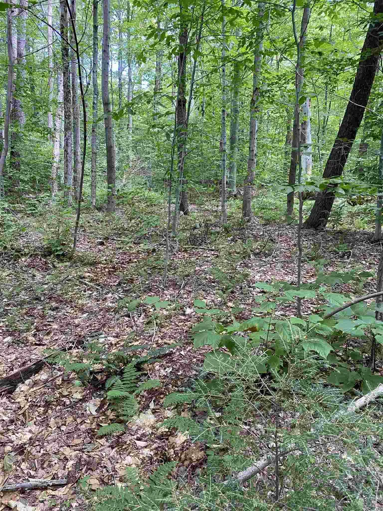 0 Country Lane Wardsboro VT 05355