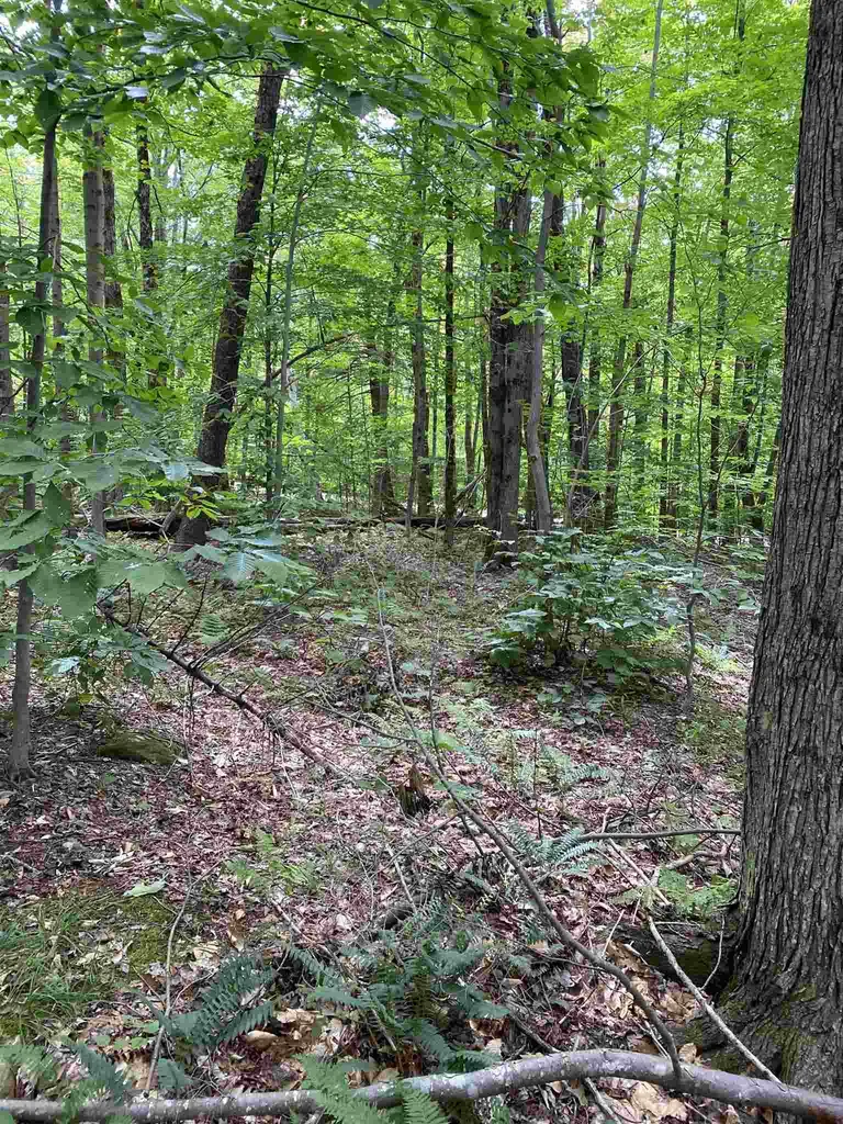 0 Country Lane Wardsboro VT 05355