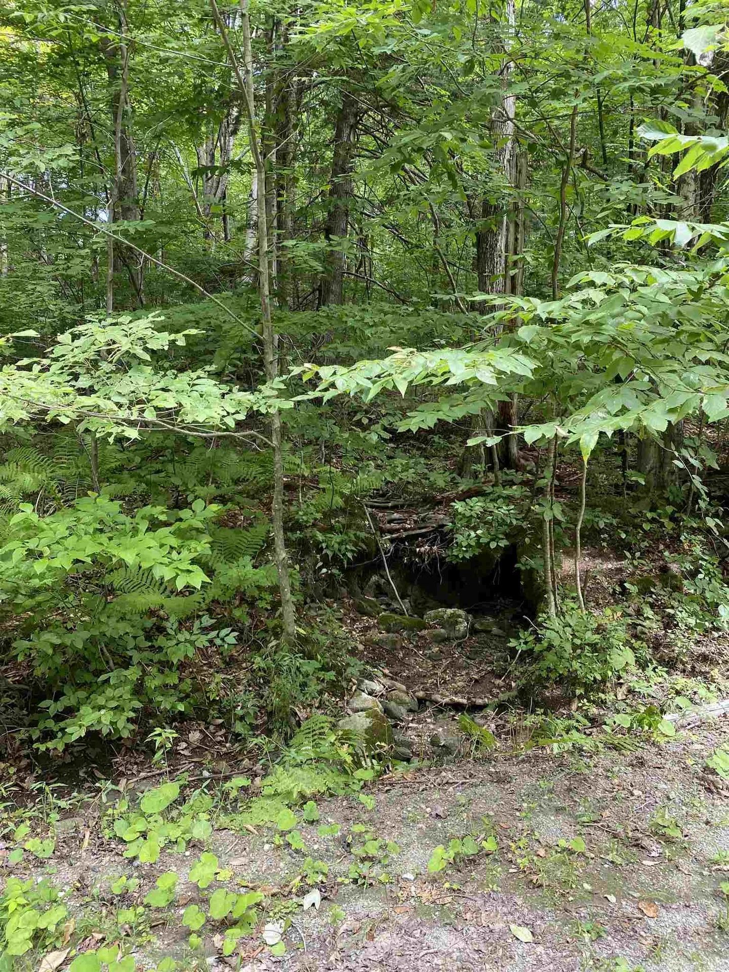 0 Country Lane Wardsboro VT 05355