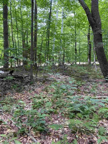 0 Country Lane Wardsboro VT 05355