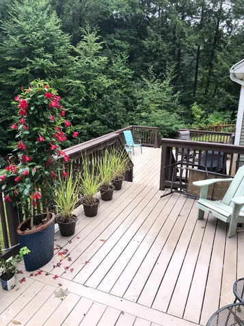 59 Arrowcrest Drive Swanzey NH 03446