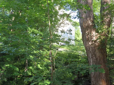 4849 South Road Woodstock VT 05071