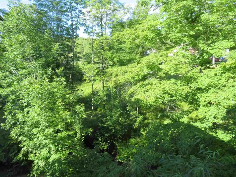 4849 South Road Woodstock VT 05071
