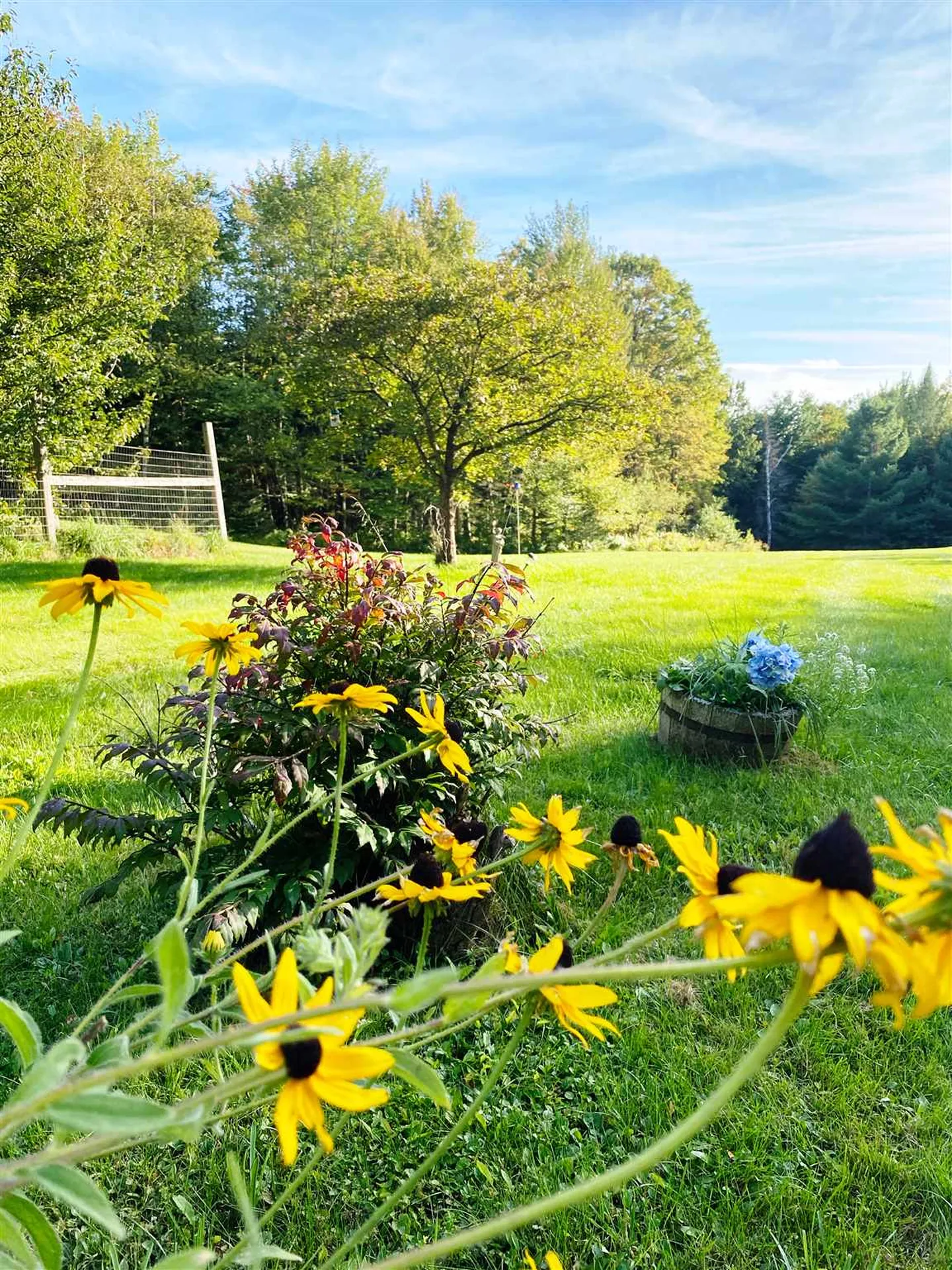 1762 West Hill Road Wolcott VT 05680