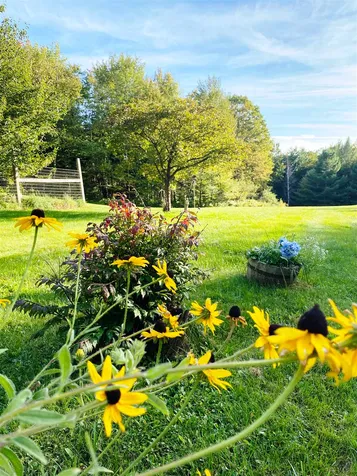 1762 West Hill Road Wolcott VT 05680