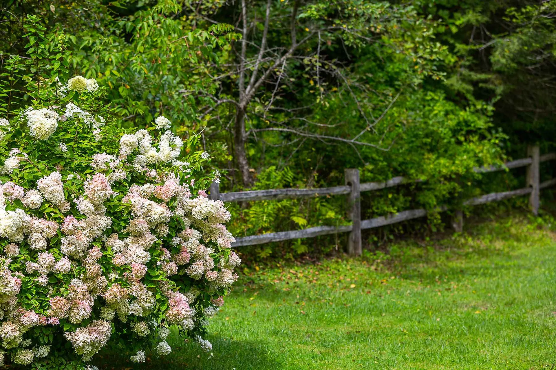 74 South Brook Way Woodstock VT 05091