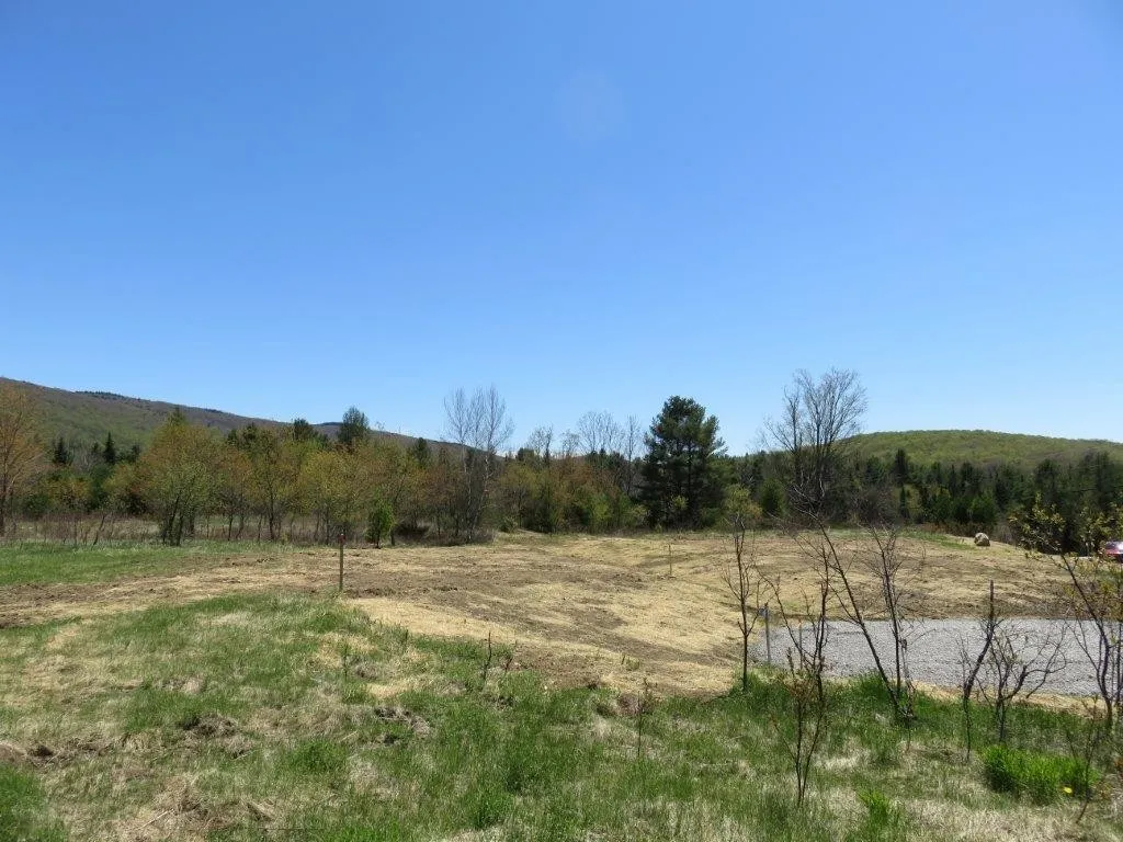 0 Nh Route 118 Canaan NH 03741