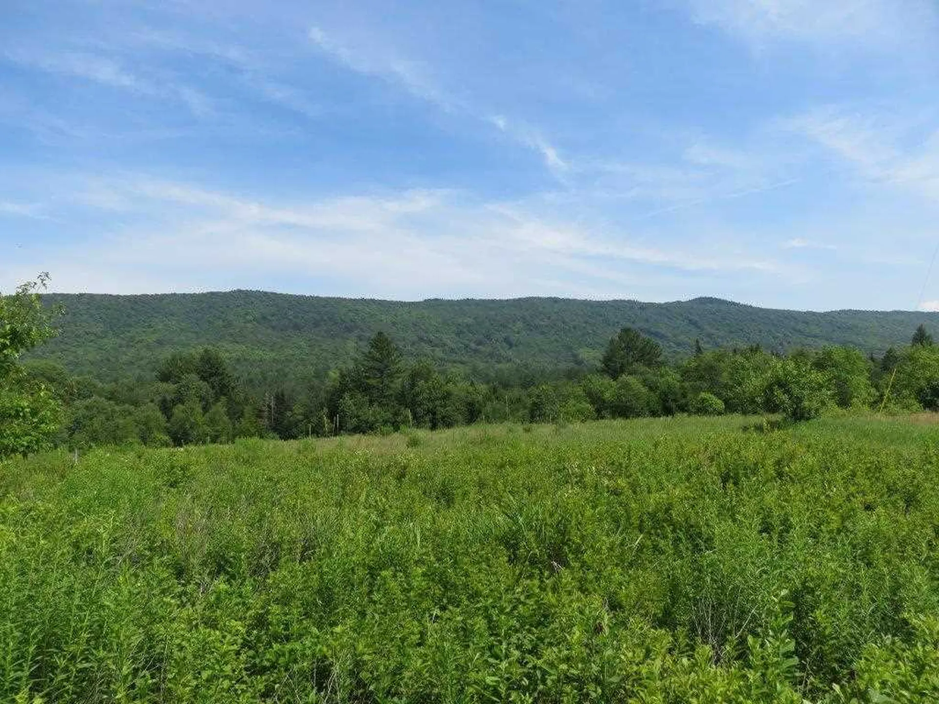 0 Nh Route 118 Canaan NH 03741